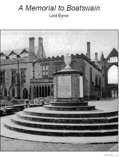 Фотография № 3382