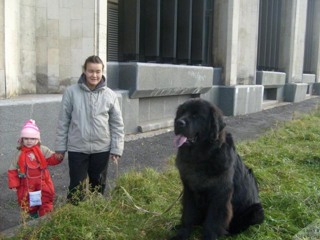 Фотография № 33820