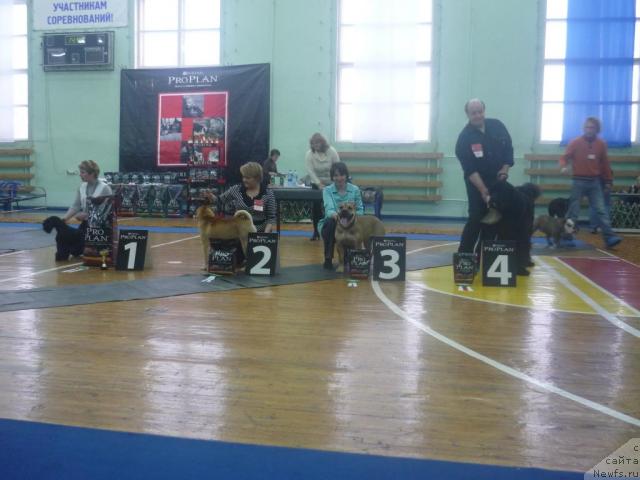 Фотография № 33902