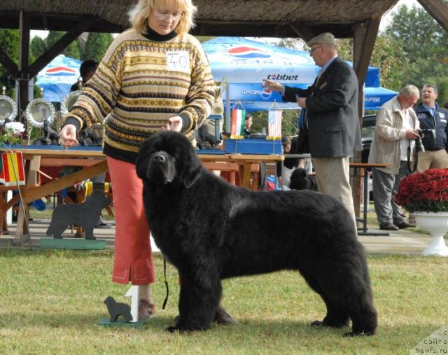 Фотография № 33913