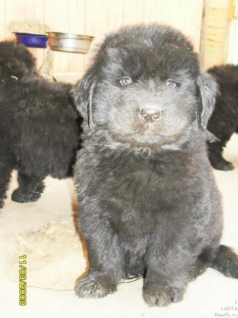 Фото: Людмила Новикова