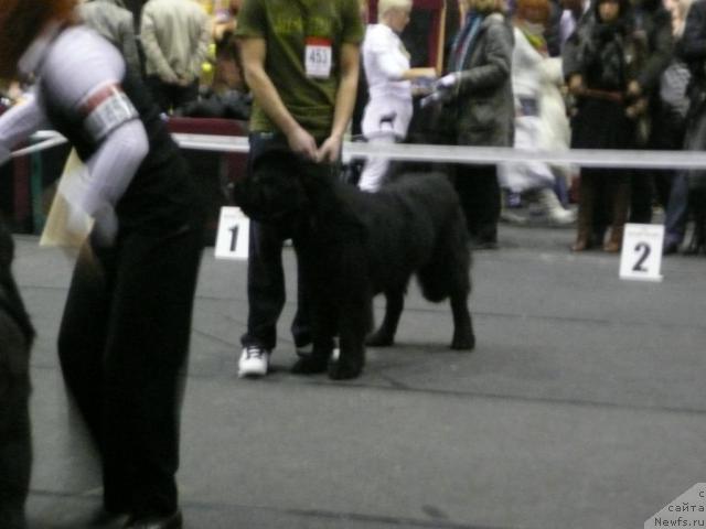 Фото: GRAFAS  SIRDUTE