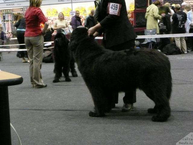 Фото: TERHOTARHAN MUSTA-MAKKARA