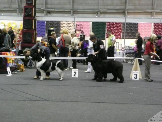 Фото: BREAKING NEWS  DE L'ILIADE EL L'ODYSSEE --TERHOTARHAN MUSTA-MAKKARA