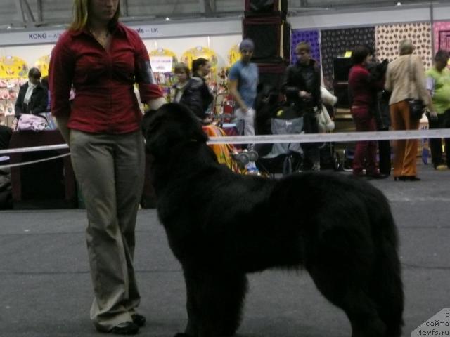 Фото: VIL MEEROM WOW WOW