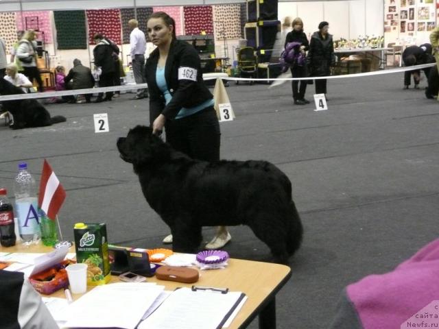 Фото: ZANELLON SUNRISE GIRL