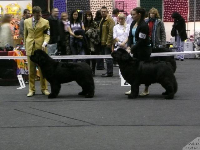 Фото: [d6423] ---ZANELLON SUNRISE GIRL