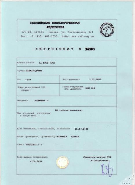 Фото: ньюфаундленд Ай Лав Рич (Ai Love Rich)