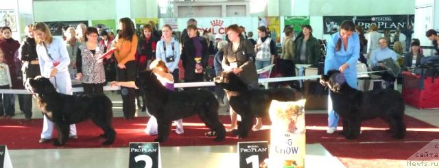 Фотография № 33979