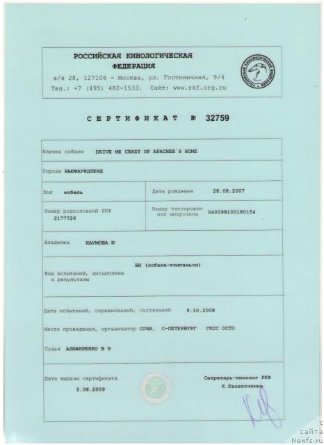 Фото: ньюфаундленд Drive Me Crazy of Apachee's Home