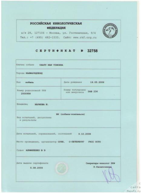 Фото: ньюфаундленд Усатый Нянь Тимоша