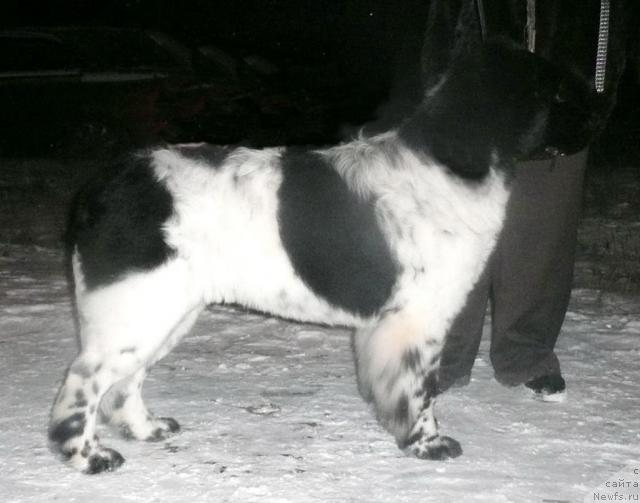 Фотография № 34052