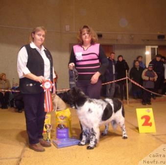 Фотография № 34053