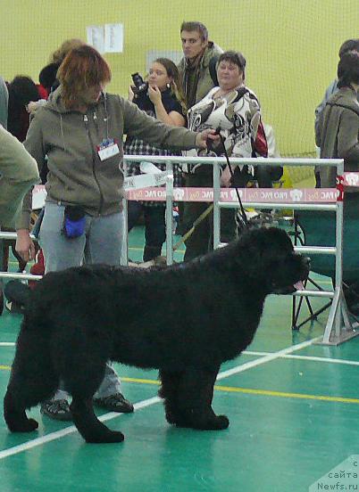 Фотография № 34065