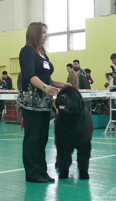 Фотография № 34066