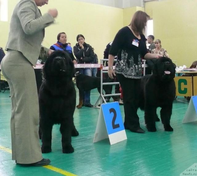 Фотография № 34067