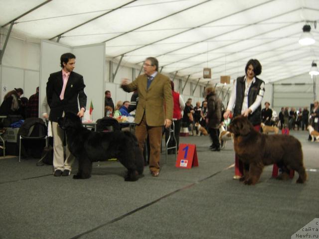 Фотография № 34076