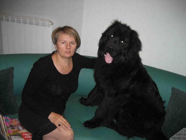 Фотография № 34099