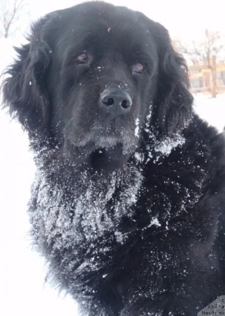 Фотография № 34103