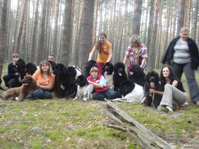 Фото: ньюфаундленд Кипер Соул Елизавета, ньюфаундленд Бианка Вайт Пэрл, [d3598]...