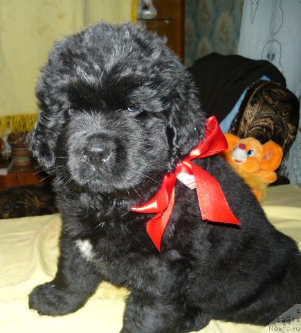 Фото: Бегущая по волнам Революция а ла рус