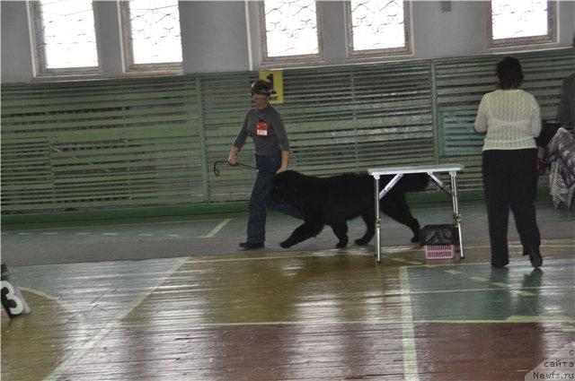 Фотография № 34165