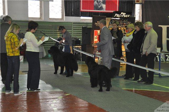 Фотография № 34167