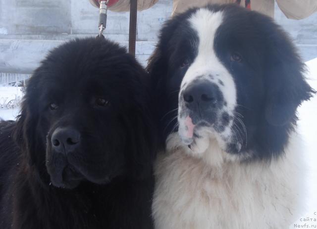 Фотография № 34215