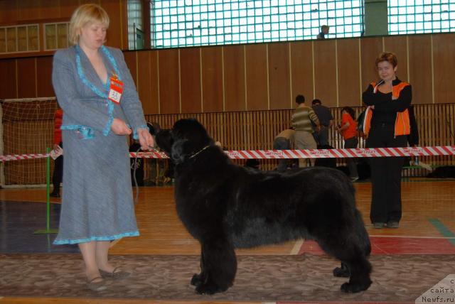 Фотография № 3422