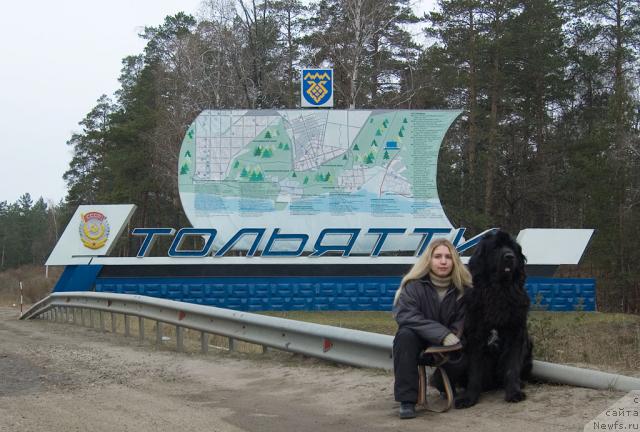 Фотография № 34251