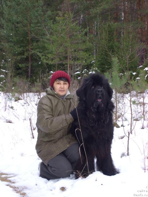 Фото: ньюфаундленд Акин Соул София, Галия