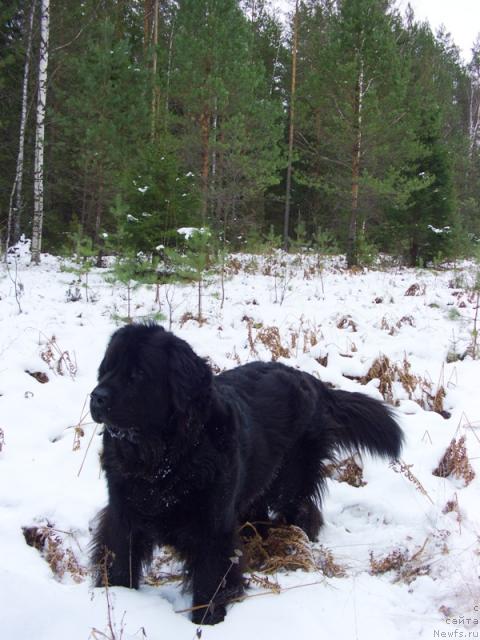 Фотография № 34269