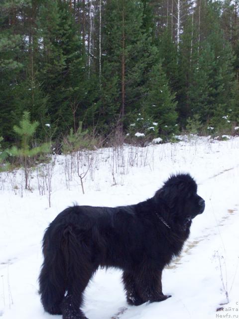 Фотография № 34270