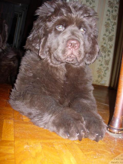 Фотография № 34303