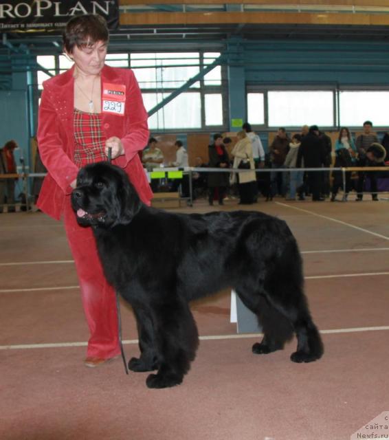 Фотография № 34375