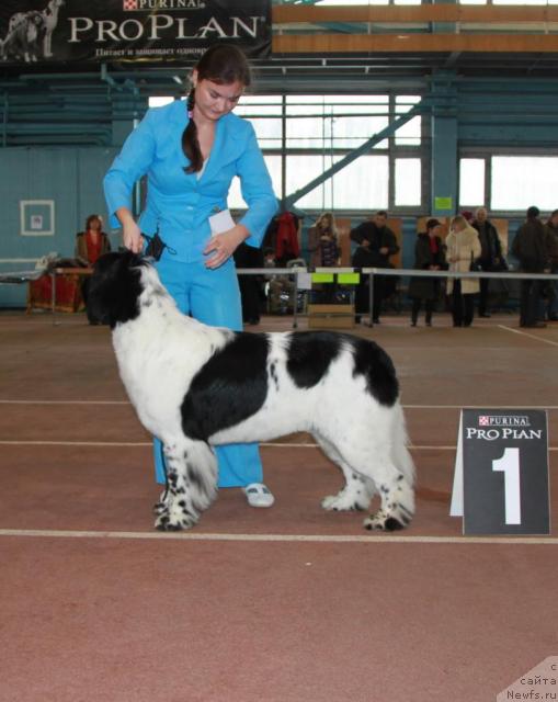 Фотография № 34377