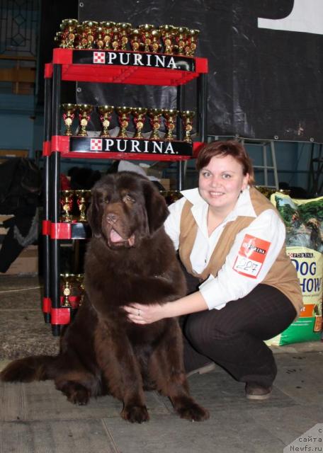 Фотография № 34380