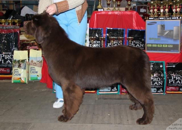 Фотография № 34381