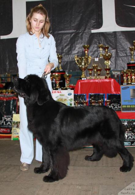 Фотография № 34382