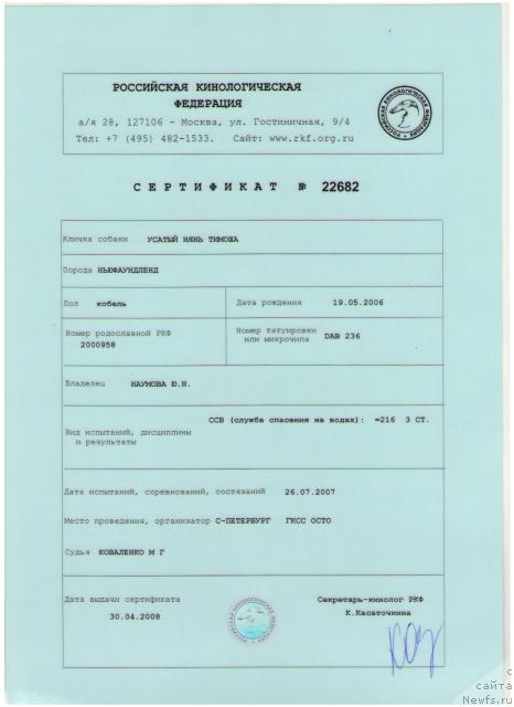 Фото: ньюфаундленд Усатый Нянь Тимоша