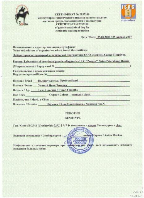 Фото: ньюфаундленд Усатый Нянь Тимоша