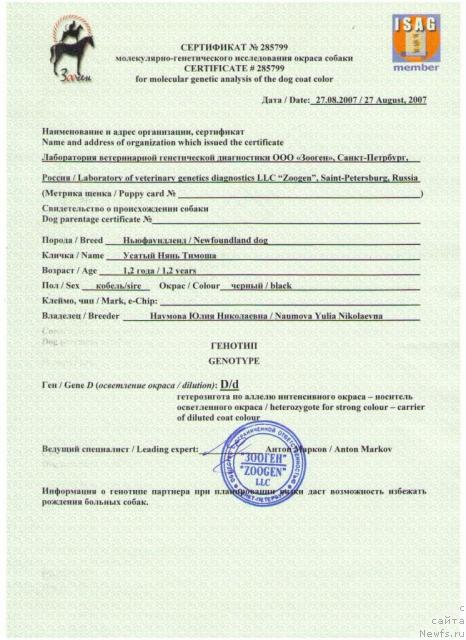 Фото: ньюфаундленд Усатый Нянь Тимоша