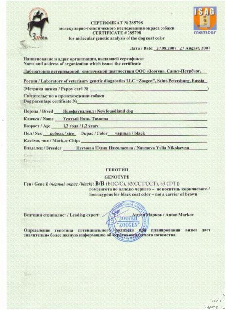 Фото: ньюфаундленд Усатый Нянь Тимоша