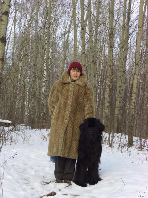 Фото: ньюфаундленд Акин Соул София