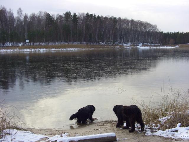 Фотография № 34399