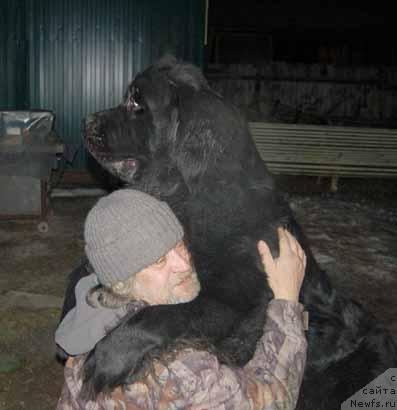 Фотография № 34407