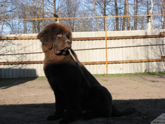 Фотография № 34427