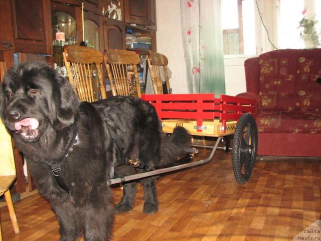 Фотография № 34460