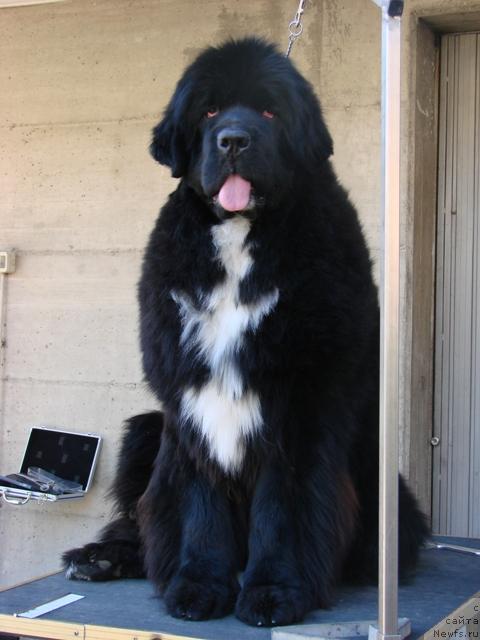 Фотография № 34494