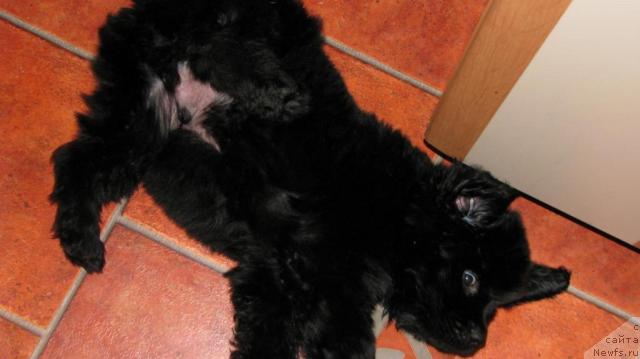 Фото: Виталий Ипатов